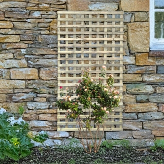 cd-square-edge-trellis-large-2026