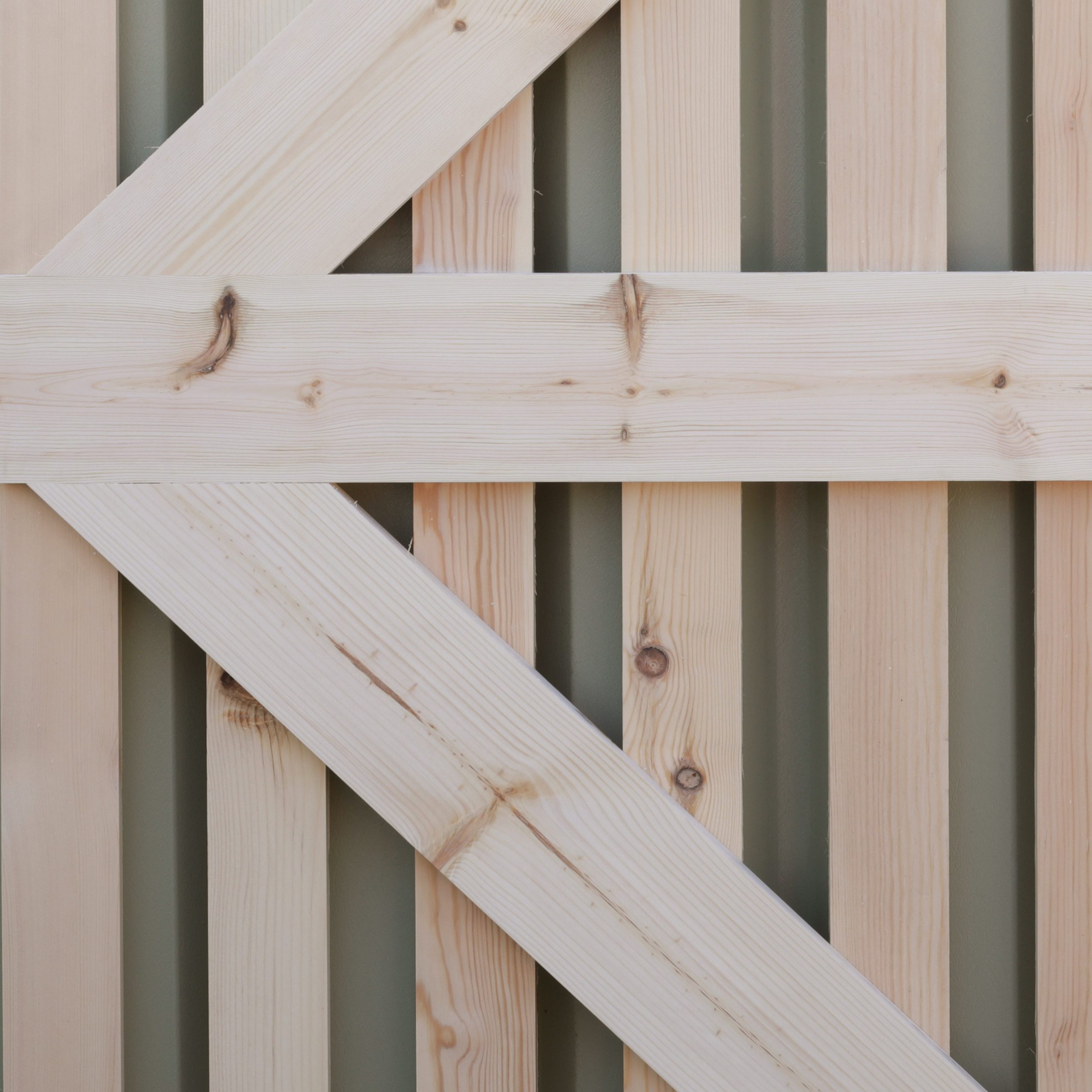 Tall-Palisade-Gate-Door_close-up-back 1