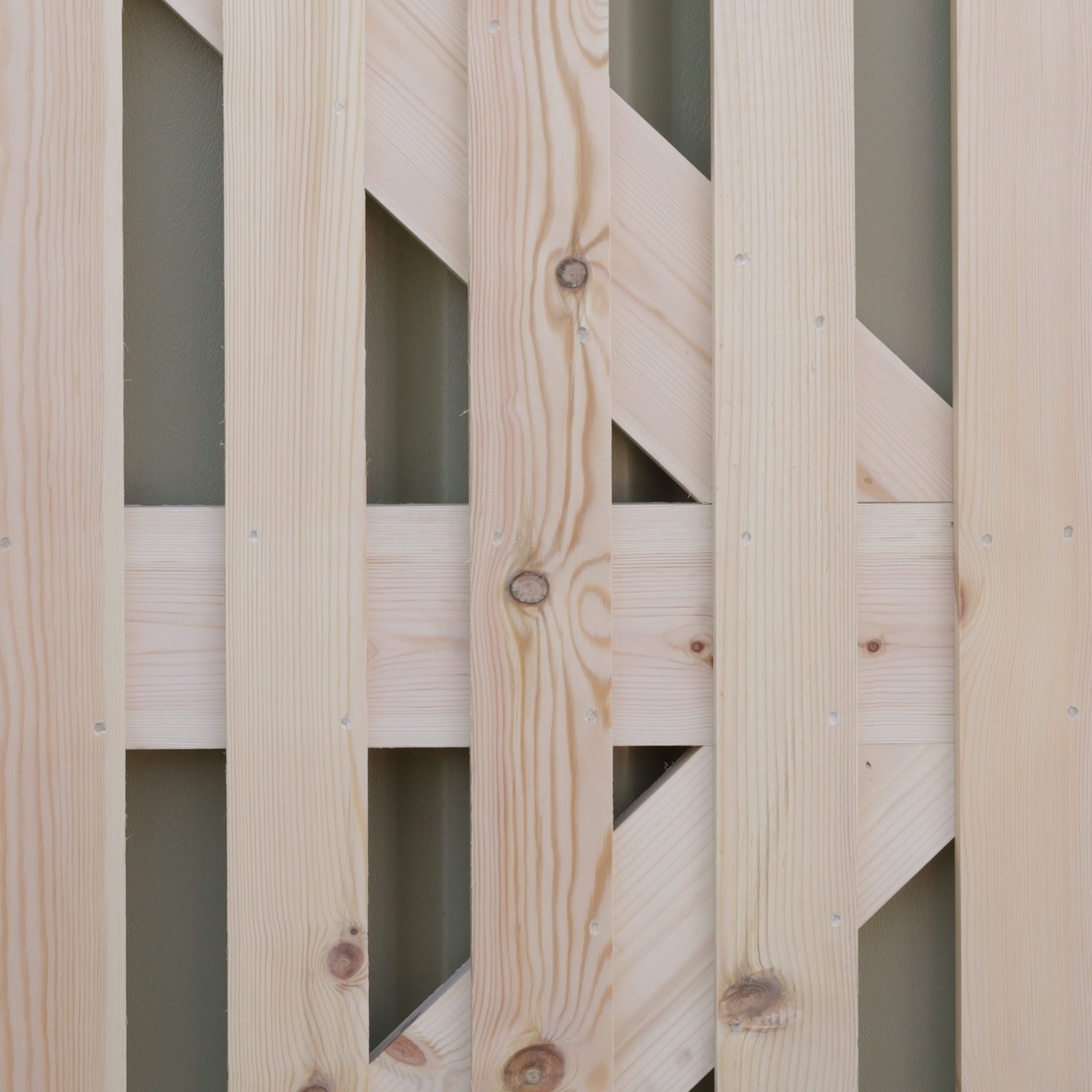 Tall-Palisade-Gate-Door_close-up-front 1